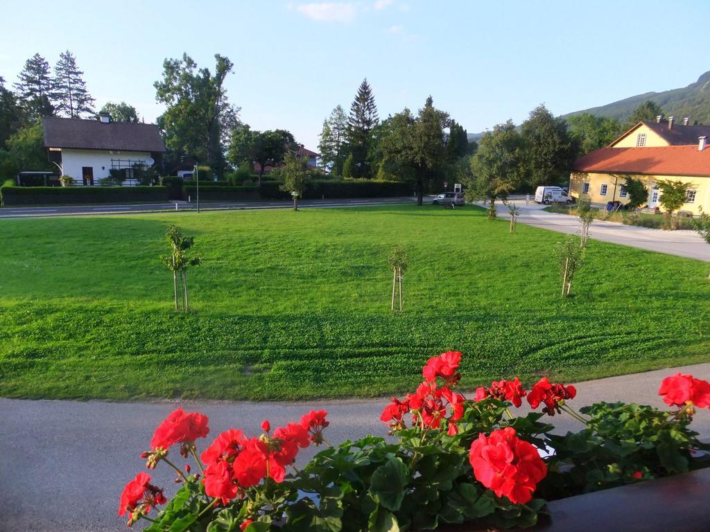Gaestehaus Riki Oberschmid Steinbach am Attersee Ngoại thất bức ảnh